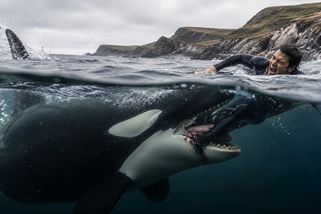 Kosatka ho stáhla pod hladinu. Surfař Hans Kretschmer přežil útok tohoto obřího predátora oceánu - Médium.cz